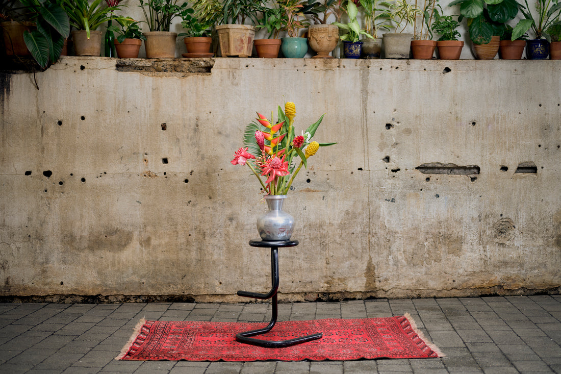 "Young at Heart" | Hawai'i Edition 001